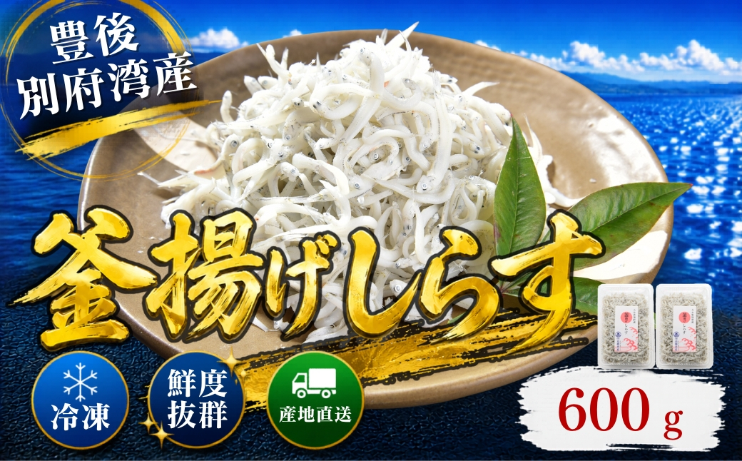 豊後別府湾釜揚げしらす 計 600g（300g×2p） 国産 添加物不使用 ＜108-212＞