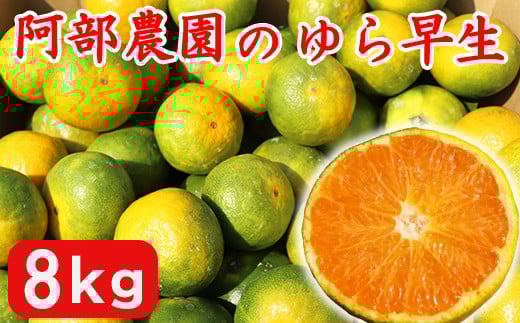 【訳あり品】阿部農園の「ゆら早生 約8kg」 ／ ミカン みかん 蜜柑 柑橘類 訳あり 10月 温州みかん 早生 人気 極早生 数量限定 フルーツ ＜112-020＞