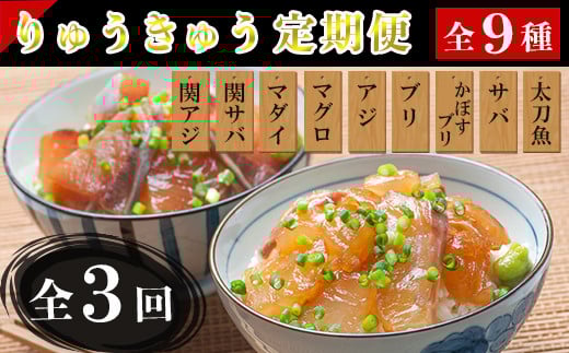 ＜3か月定期便＞りゅうきゅう9種定期便(関あじ・関さば・真鯛・本マグロ・豊後あじ・ぶり・かぼすぶり・豊後さば・太刀魚)[3種×各2食×3回] 海鮮丼 定期便 3回 3ヶ月 漬け丼 大分郷土料理 豊後絆屋 魚 冷凍 クール便 加工品 惣菜 刺身 海鮮 漬け 醤油漬 真空パック 小分け JAL機内食 関アジ 関さば 鯛 マグロ アジ ぶり かぼすぶり さば 太刀魚 ＜101-863＞