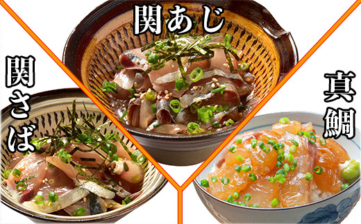 ＜3か月定期便＞りゅうきゅう9種定期便(関あじ・関さば・真鯛・本マグロ・豊後あじ・ぶり・かぼすぶり・豊後さば・太刀魚)[3種×各2食×3回] 海鮮丼 定期便 3回 3ヶ月 漬け丼 大分郷土料理 豊後絆屋 魚 冷凍 クール便 加工品 惣菜 刺身 海鮮 漬け 醤油漬 真空パック 小分け JAL機内食 関アジ 関さば 鯛 マグロ アジ ぶり かぼすぶり さば 太刀魚 ＜101-863＞