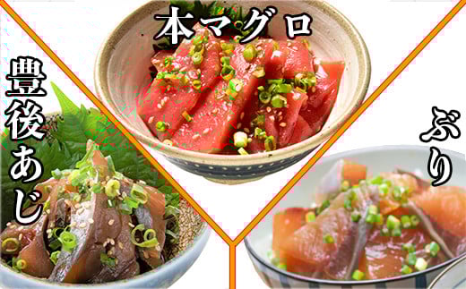 ＜3か月定期便＞りゅうきゅう9種定期便(関あじ・関さば・真鯛・本マグロ・豊後あじ・ぶり・かぼすぶり・豊後さば・太刀魚)[3種×各2食×3回] 海鮮丼 定期便 3回 3ヶ月 漬け丼 大分郷土料理 豊後絆屋 魚 冷凍 クール便 加工品 惣菜 刺身 海鮮 漬け 醤油漬 真空パック 小分け JAL機内食 関アジ 関さば 鯛 マグロ アジ ぶり かぼすぶり さば 太刀魚 ＜101-863＞