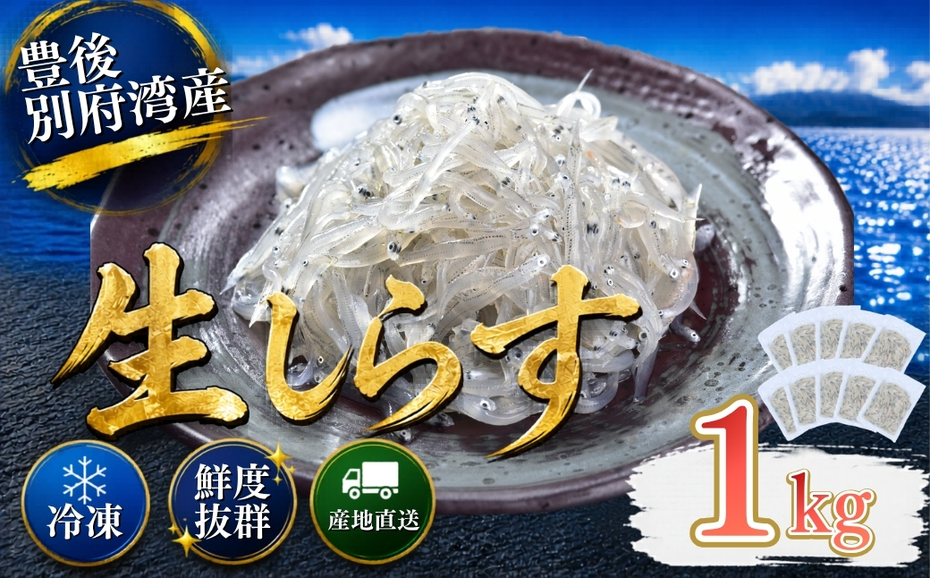 豊後別府湾生しらす 計 1kg（100g×10パック） 国産 添加物不使用＜108-222＞