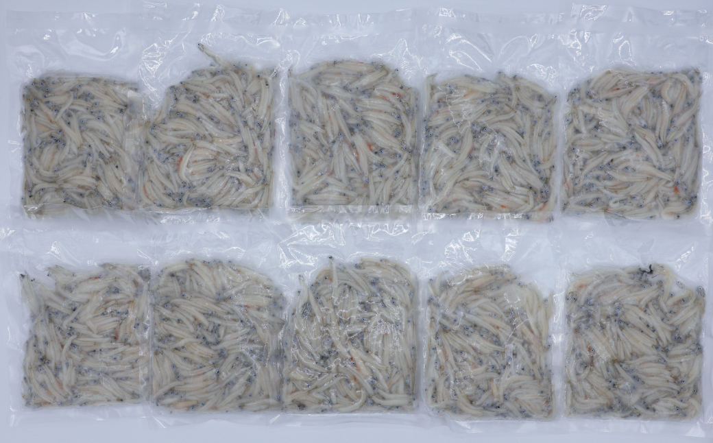 豊後別府湾生しらす 計 1kg（100g×10パック） 国産 添加物不使用＜108-222＞