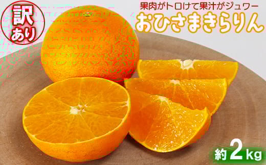 【訳あり・優品】今村農園の「おひさまきらりん 約2kg」 甘い オレンジ みかん ミカン 清美 12月発送 1月発送 先行予約 2kg わけあり 柑橘類 フルーツ ＜107-018_7＞