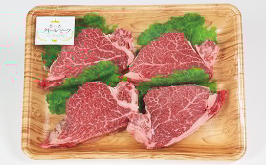 豊の香 クイーンビーフ ヒレステーキ 480g （120g×4枚） 国産 黒毛和牛 経産牛 お楽しみ 牛肉 お肉 人気 ＜150-001_5＞