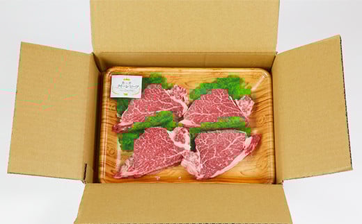 豊の香 クイーンビーフ ヒレステーキ 480g （120g×4枚） 国産 黒毛和牛 経産牛 お楽しみ 牛肉 お肉 人気 ＜150-001_5＞