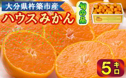 ハウスみかん約5kg（バラ詰め） みかん 温州 温州みかん 温州ミカン 5kg 甘い 秀品 柑橘類 糖度 6月 7月 ハウスみかん フルーツ 先行予約 九州 大分 杵築 ＜132-012＞