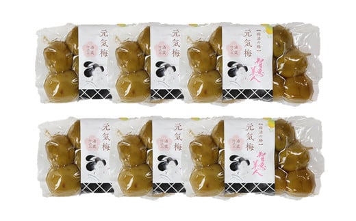 智恵美人 元気梅 （梅酒の梅） 300g×6袋セット【中野酒造】 梅酒  小分け ギフト 贈答 ＜110-024_6＞