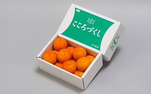 ä»æèŸ²åã®ããŠã¹ã¿ãã çŽ1.2kgãç§åã ã¿ãã ææ© 1.2kg ç§å å
è¡äºçŽ 7æ ãã«ãŒã ïŒ107-006ïŒ