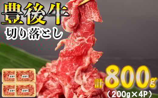 豊後牛切り落とし 計800g（200g×4p） お楽しみ 牛肉 お肉 すきやき 小分け ＜123-005_5＞
