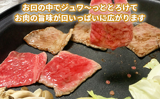 おおいた和牛もも焼肉用 600g お楽しみ 牛肉 お肉 もも ＜123-001_5＞