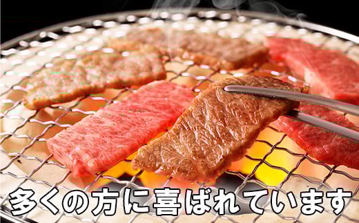 おおいた和牛もも焼肉用 600g お楽しみ 牛肉 お肉 もも ＜123-001_5＞