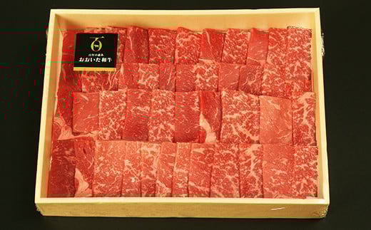 おおいた和牛もも焼肉用 600g お楽しみ 牛肉 お肉 もも ＜123-001_5＞