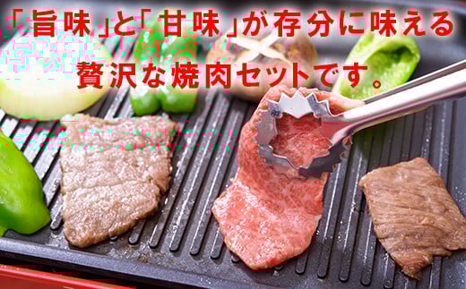 おおいた和牛もも焼肉用 600g お楽しみ 牛肉 お肉 もも ＜123-001_5＞