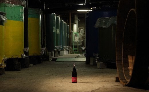 ちえびじん純米酒 720ml 2本セット [Kura Master 2018 プレジデント賞受賞]【中野酒造】 人気 ギフト 贈答 ＜110-001＞