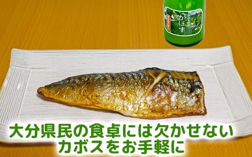 【数量限定】手搾りかぼす果汁と人気のレトルトカレー食べ比べ3種の詰め合わせ＜125-003_5＞