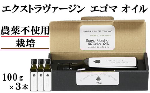 エゴマオイル(EGOMA OIL) 100g×3本セット 無農薬栽培 えごま油 国産 低温直圧搾油法 大分県産 ＜143-007_5＞