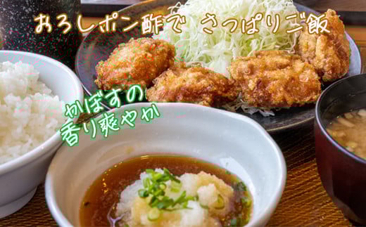 オレンジ農園のかぼすポン酢 3本セット ＜108-001＞