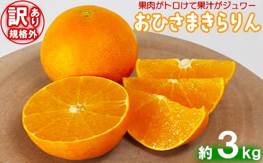 【訳あり・規格外品】今村農園の「おひさまきらりん 約3kg」 先行予約 3kg 12月発送 1月発送 わけあり 柑橘類 フルーツ ＜107-017_7＞
