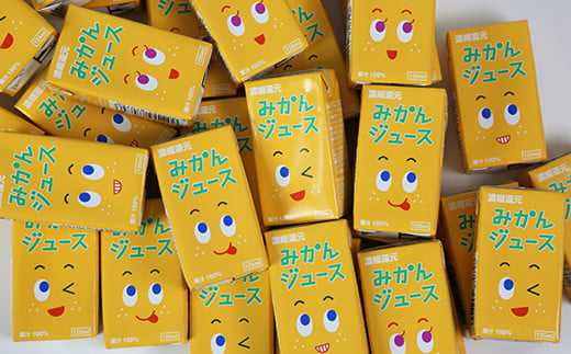 果汁100％ 紙パック みかんジュース 125ml×40本＜131-010＞
