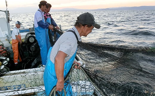 国産添加物不使用！別府湾かちえび4パック＜108-018_5＞