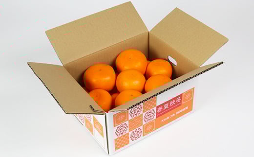 岩尾農園の温室栽培せとか 特選 約3kg 先行予約 柑橘類 みかん ミカン ＜066-004_5＞