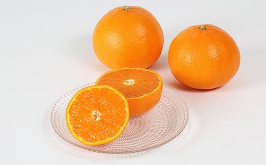 岩尾農園の温室栽培せとか 特選 約3kg 先行予約 柑橘類 みかん ミカン ＜066-004_5＞