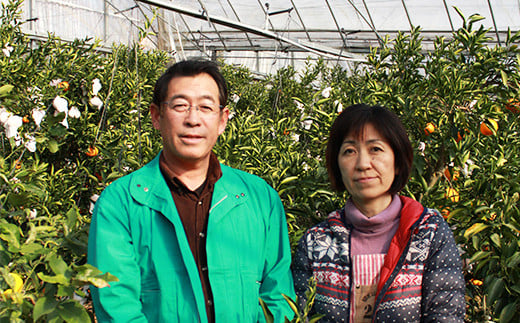 岩尾農園の温室栽培せとか 特選 約3kg 先行予約 柑橘類 みかん ミカン ＜066-004_5＞