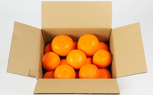 岩尾農園の温室栽培せとか 特選 約3kg 先行予約 柑橘類 みかん ミカン ＜066-004_5＞