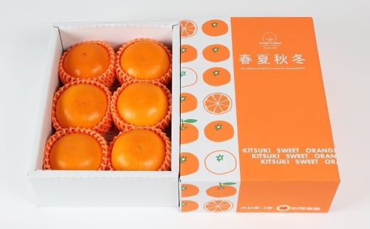 岩尾農園の温室栽培せとか 特選 約1.5kg 先行予約 柑橘類 みかん ミカン ＜066-003_5＞