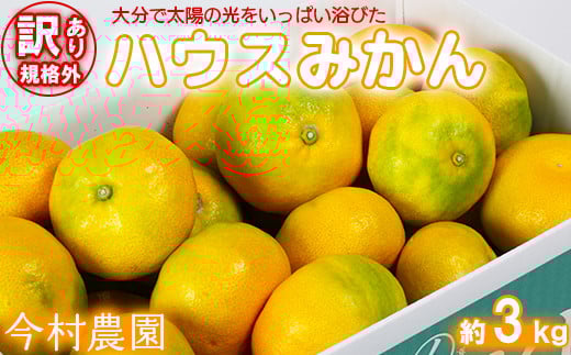 【訳あり・規格外品】今村農園のハウスみかん 約3kg みかん 柑橘 3kg わけあり 先行予約 7月 フルーツ ＜107-001＞