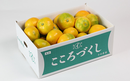 ãèš³ããã»èŠæ Œå€åãä»æèŸ²åã®ããŠã¹ã¿ãã çŽ3kg ã¿ãã ææ© 3kg ãããã å
è¡äºçŽ 7æ ãã«ãŒã ïŒ107-001ïŒ