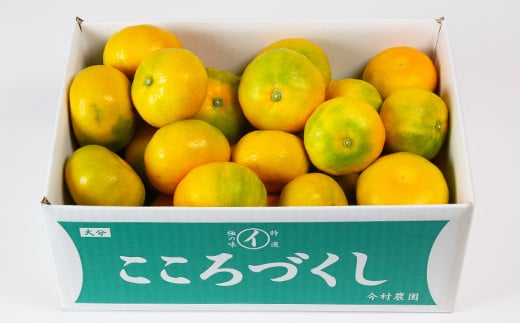 ãèš³ããã»èŠæ Œå€åãä»æèŸ²åã®ããŠã¹ã¿ãã çŽ3kg ã¿ãã ææ© 3kg ãããã å
è¡äºçŽ 7æ ãã«ãŒã ïŒ107-001ïŒ