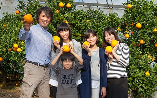 【訳あり・規格外品】野菜ソムリエ石児さんの「アンコール 3.5kg」 ミカン みかん 蜜柑 柑橘 3.5kg 訳あり 甘い 柑橘類 アンコール アンコールオレンジ フルーツ 先行予約 ＜103-017＞