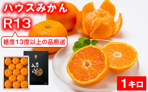 【糖度13度以上！】[プレミアムハウスみかんR13] 1kg 化粧箱入 みかん 温州 温州みかん 温州ミカン 1kg 甘い 秀品 柑橘類 糖度 6月 7月 ハウスみかん フルーツ 先行予約 九州 大分 杵築 ＜132-013＞