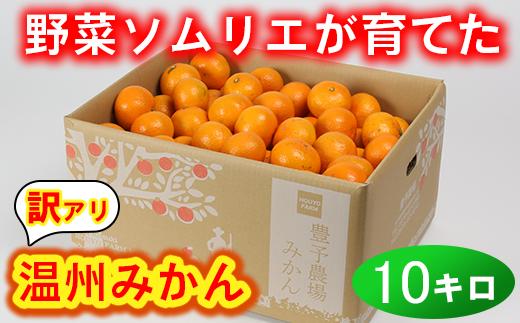 【訳あり・規格外品】野菜ソムリエ石児さんの「温州みかん 10kg」 ミカン みかん 蜜柑 柑橘 10kg 柑橘類 訳あり 甘い 温州みかん フルーツ 1月 1月発送 1月配送 ＜103-005＞