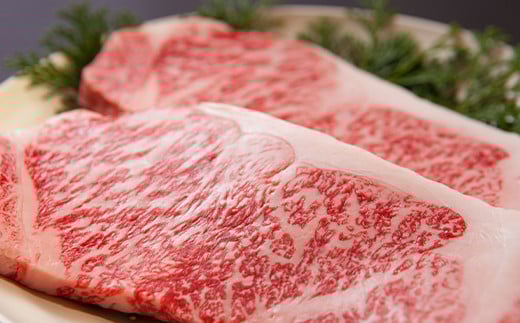 おおいた豊後牛サーロイン・ヒレステーキ 各２枚セット 牛肉 お肉 お楽しみ 人気 国産 黒毛和牛 霜降り 食べ比べ ギフト 贈答 ＜122-012_5＞