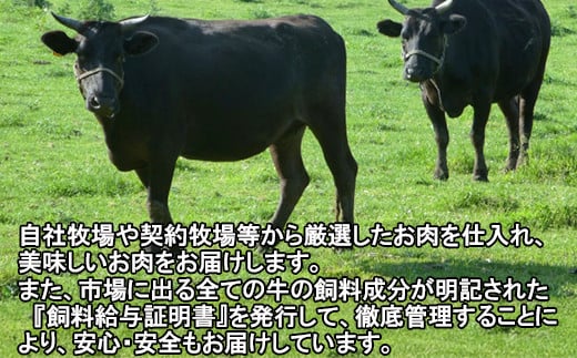 おおいた豊後牛サーロイン・ヒレステーキ 各２枚セット 牛肉 お肉 お楽しみ 人気 国産 黒毛和牛 霜降り 食べ比べ ギフト 贈答 ＜122-012_5＞