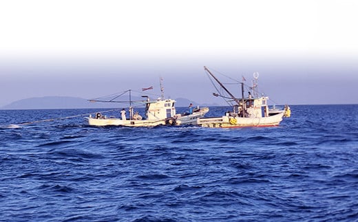 åœç£æ·»å ç©äžäœ¿çšïŒå¥åºæ¹ŸçŒããã³4ããã¯ïŒ108-023_6ïŒ