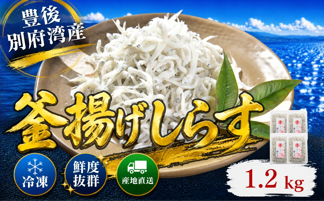 豊後別府湾釜揚げしらす 計 1.2kg（300g×4p） 国産 添加物不使用＜108-214＞