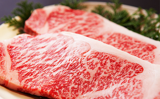 おおいた豊後牛サーロインステーキ180g×3枚 牛肉 お肉 お楽しみ 人気 国産 黒毛和牛 霜降り ギフト 贈答 ＜122-009＞
