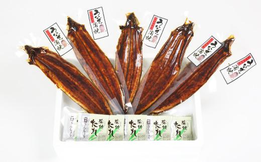 温泉うなぎ蒲焼 5尾（120gサイズ） 国産 九州 ＜104-005_5＞