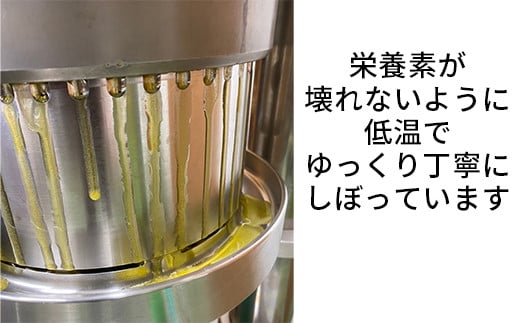 エゴマオイル(EGOMA OIL) 100g 無農薬栽培 えごま油 国産 低温直圧搾油法 大分県産 ＜143-005_5＞