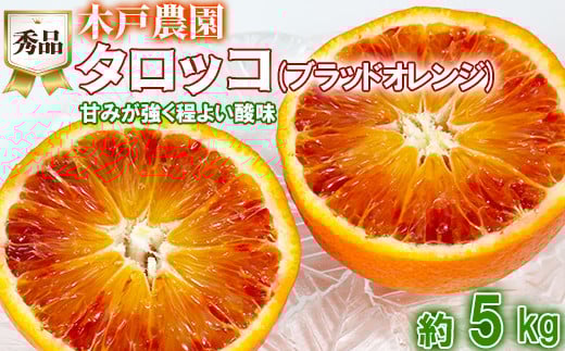 木戸農園のタロッコ（ブラッドオレンジ）約5kg（秀品） オレンジ みかん ミカン 柑橘類 フルーツ ＜113-006_5＞
