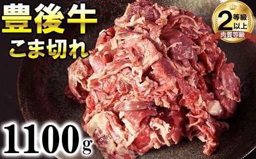 豊後牛こま切れ1100g＜121-003_6＞