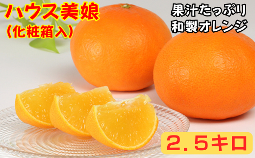 ハウス美娘 約2.5kg（化粧箱入） ／ ミカン みかん 蜜柑 柑橘類 美娘 オレンジ 2.5kg 先行予約 甘い フルーツ ＜132-002＞
