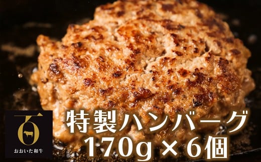 おおいた和牛特製ハンバーグ170g×6個（計1020g）【匠牧場】 ハンバーグ 国産 人気 牛肉 冷凍 和牛 おおいた和牛 豚肉 牛 ＜102-030_5＞