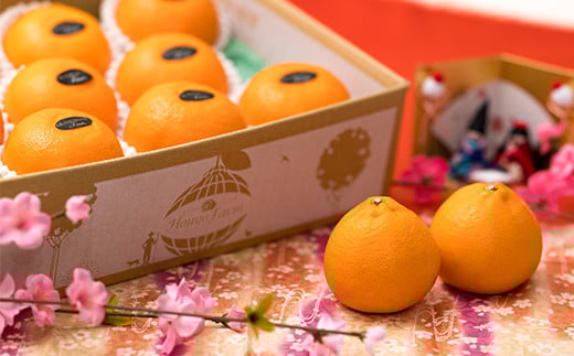 éèãœã ãªãšç³å
ããã®ãç¹éž ããšã 5kgïŒ2.5kgÃ2ç®±ïŒã ãã«ã³ ã¿ãã èæ ææ© 5kg ææ©é¡ ããšã ãã«ãŒã èŽç 2æ 3æ å
è¡äºçŽ ïŒ103-016ïŒ