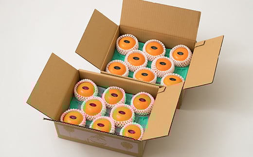 éèãœã ãªãšç³å
ããã®ãç¹éž ããšã 5kgïŒ2.5kgÃ2ç®±ïŒã ãã«ã³ ã¿ãã èæ ææ© 5kg ææ©é¡ ããšã ãã«ãŒã èŽç 2æ 3æ å
è¡äºçŽ ïŒ103-016ïŒ