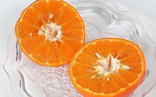 【訳あり・優品】野菜ソムリエ石児さんの「アンコール 2.5kg」 ミカン みかん 蜜柑 柑橘 訳あり 甘い 柑橘類 アンコール アンコールオレンジ フルーツ 先行予約 ＜103-018＞